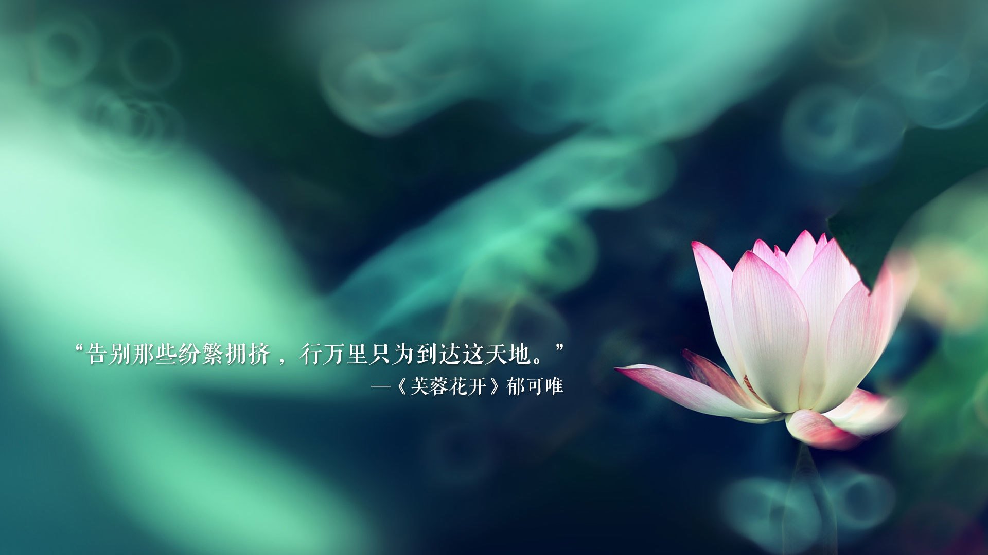 我们吃了海鲜英文(我们吃了美味的海鲜英语)